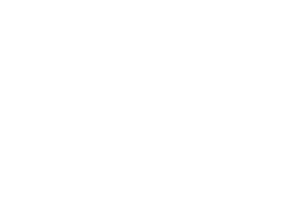 NP Digital